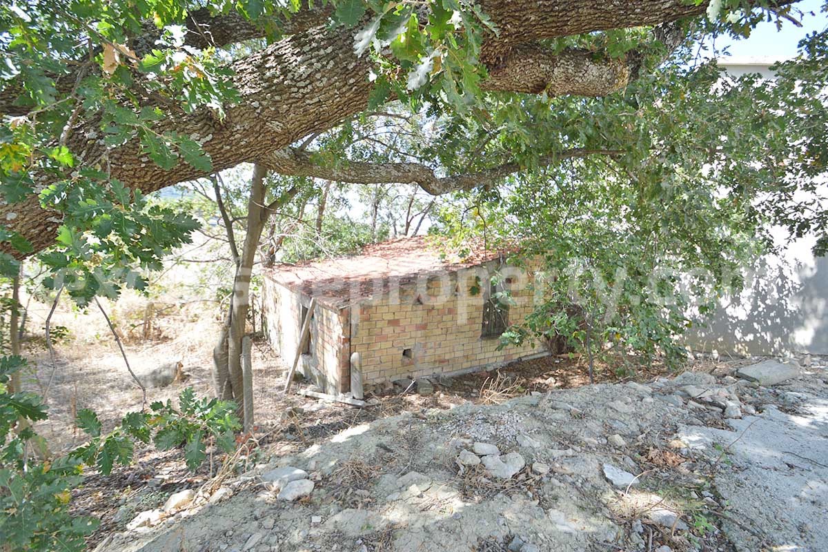 Farmhouse with 11 hectares for sale in Molise in Italy - Suitable for horses