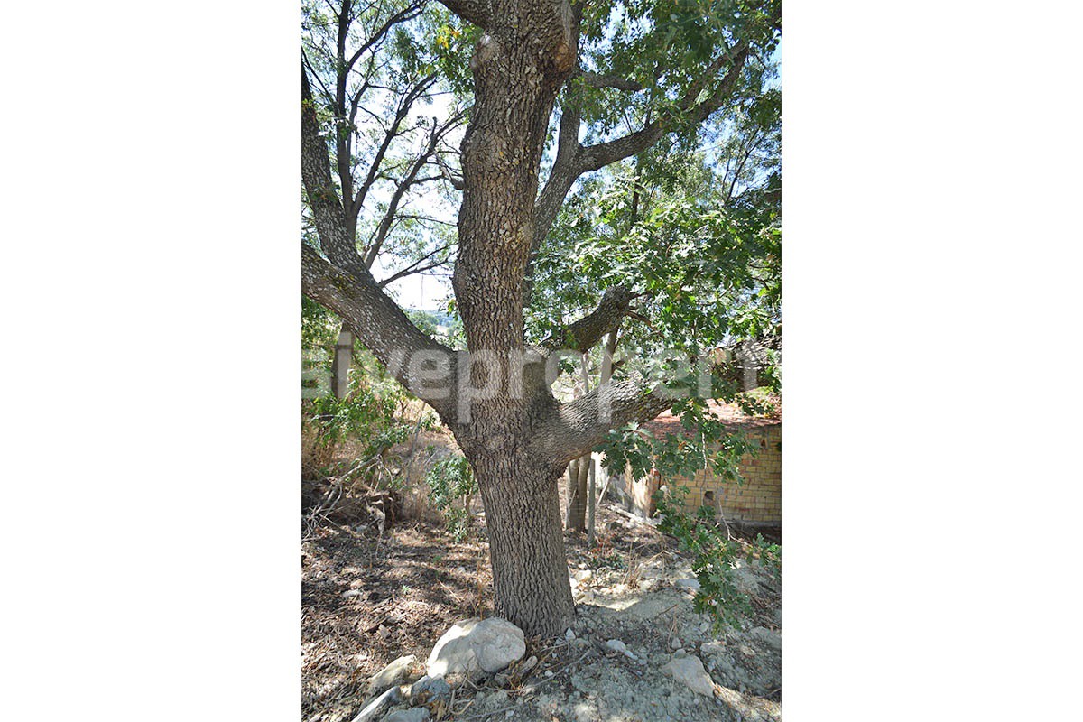 Farmhouse with 11 hectares for sale in Molise in Italy - Suitable for horses