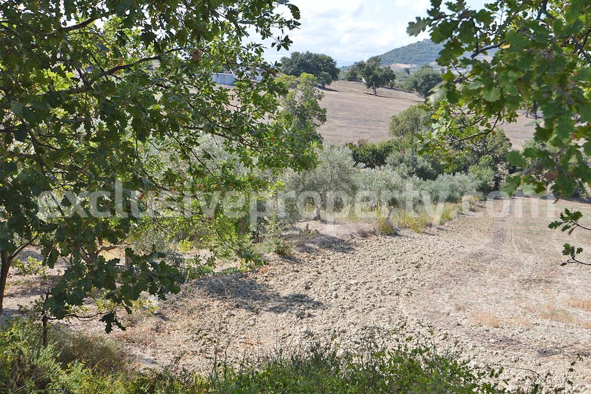 Farmhouse with 11 hectares for sale in Molise in Italy - Suitable for horses
