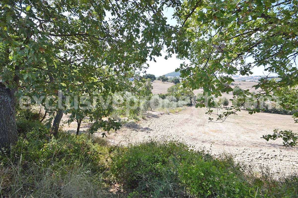 Farmhouse with 11 hectares for sale in Molise in Italy - Suitable for horses