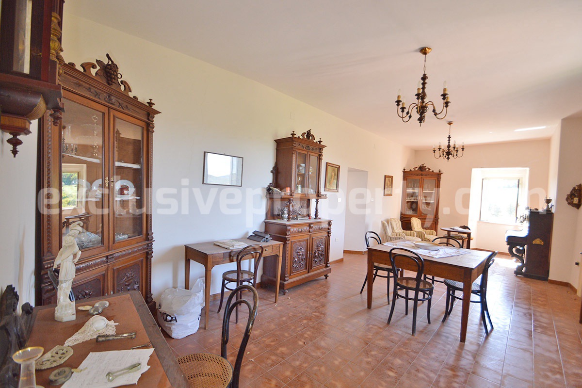 Historic Palace for Sale in Italy - Bagnoli del Trigno - Molise - Enormous Panoramic Terrace and Unique Rock Garden
