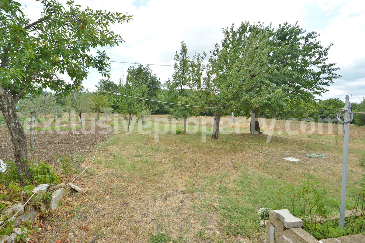 Renovated country house with land - outbuilding and woodland for sale in Trivento - Molise - near the Adriatic coast