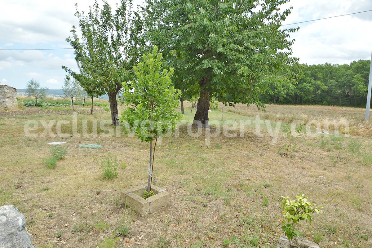 Renovated country house with land - outbuilding and woodland for sale in Trivento - Molise - near the Adriatic coast