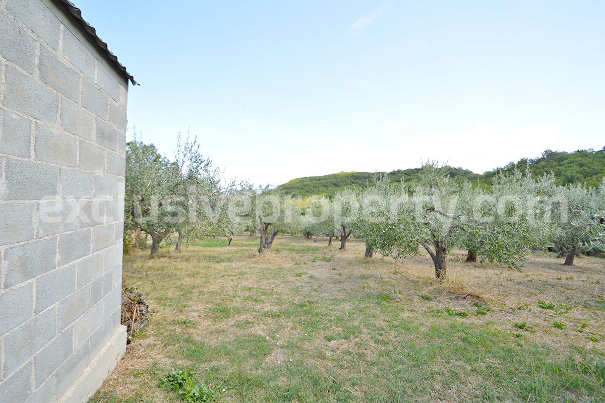 Country Home with Pool - Olive Trees and 3 Hectares for Sale in the Abruzzo Countryside - Gessopalena
