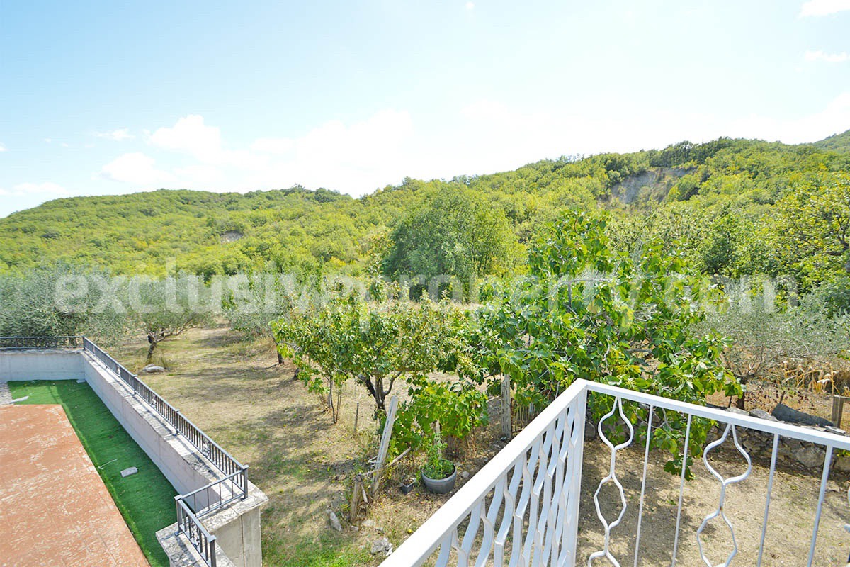 Country Home with Pool - Olive Trees and 3 Hectares for Sale in the Abruzzo Countryside - Gessopalena
