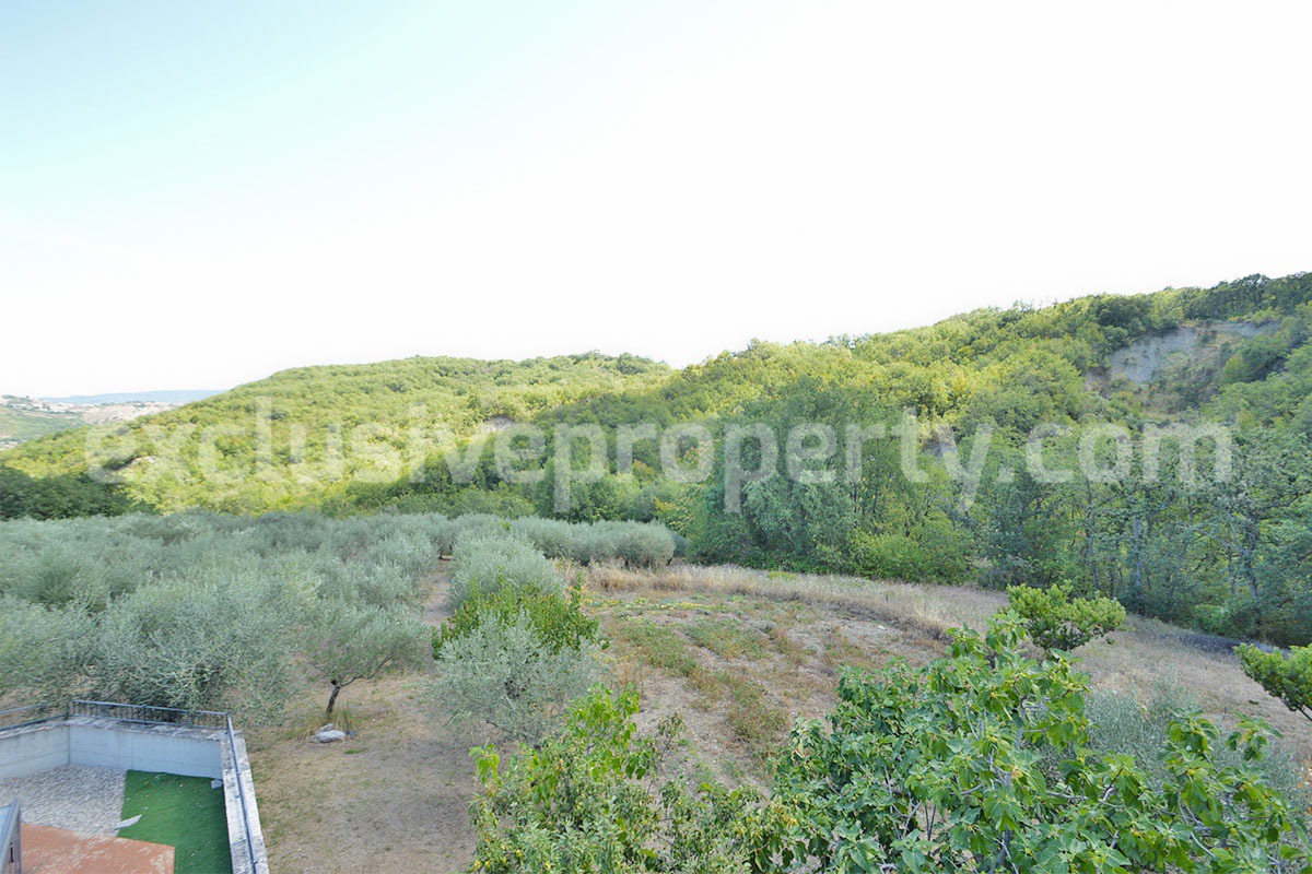 Country Home with Pool - Olive Trees and 3 Hectares for Sale in the Abruzzo Countryside - Gessopalena
