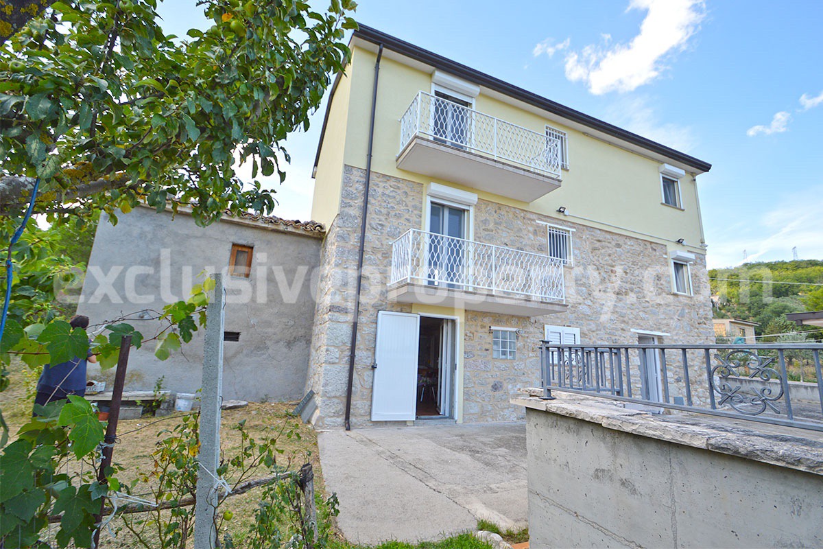 Country Home with Pool - Olive Trees and 3 Hectares for Sale in the Abruzzo Countryside - Gessopalena