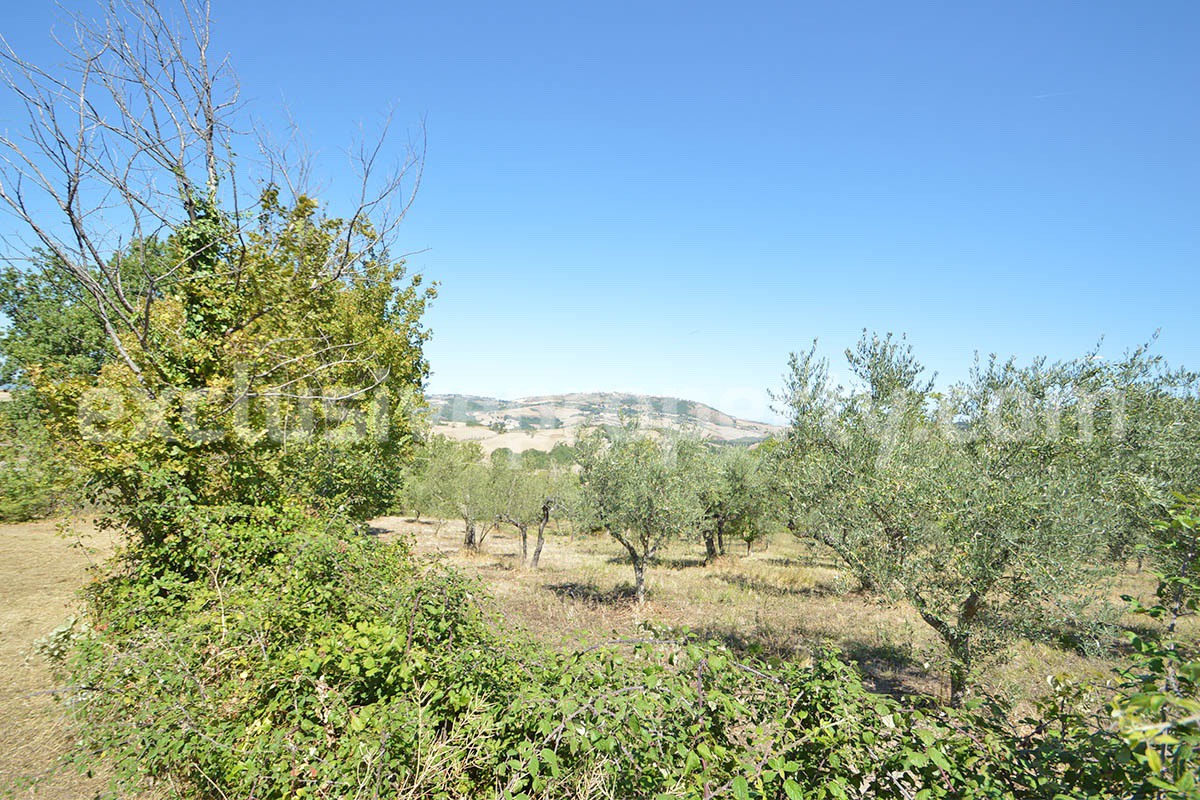 Country House with Land - Sea View and Large Garages for Sale in Acquaviva Collecroce - Molise