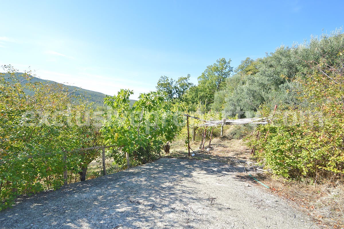 Italian Lake-View Country House for Sale in Molise - Panoramic Terrace - Private Land in Guardialfiera