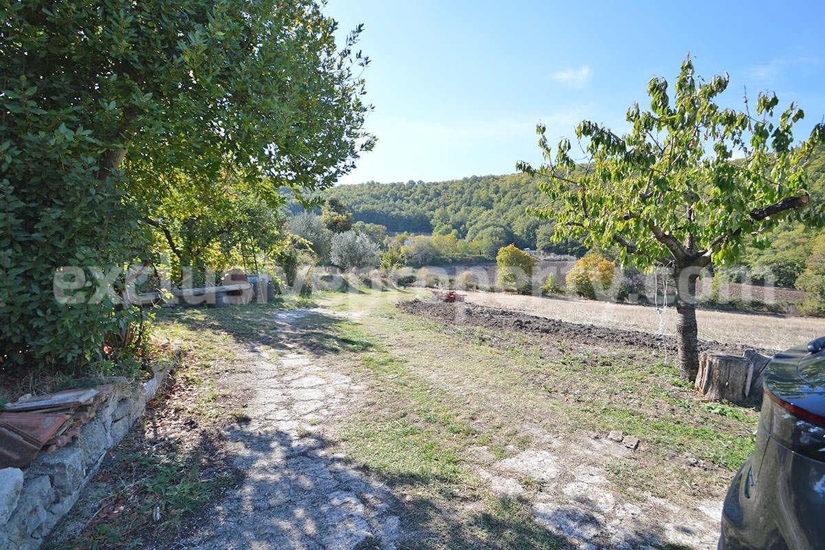 Renovated Country House for Sale in Guardialfiera - Molise - 4 Hectares of Land with Olive Trees