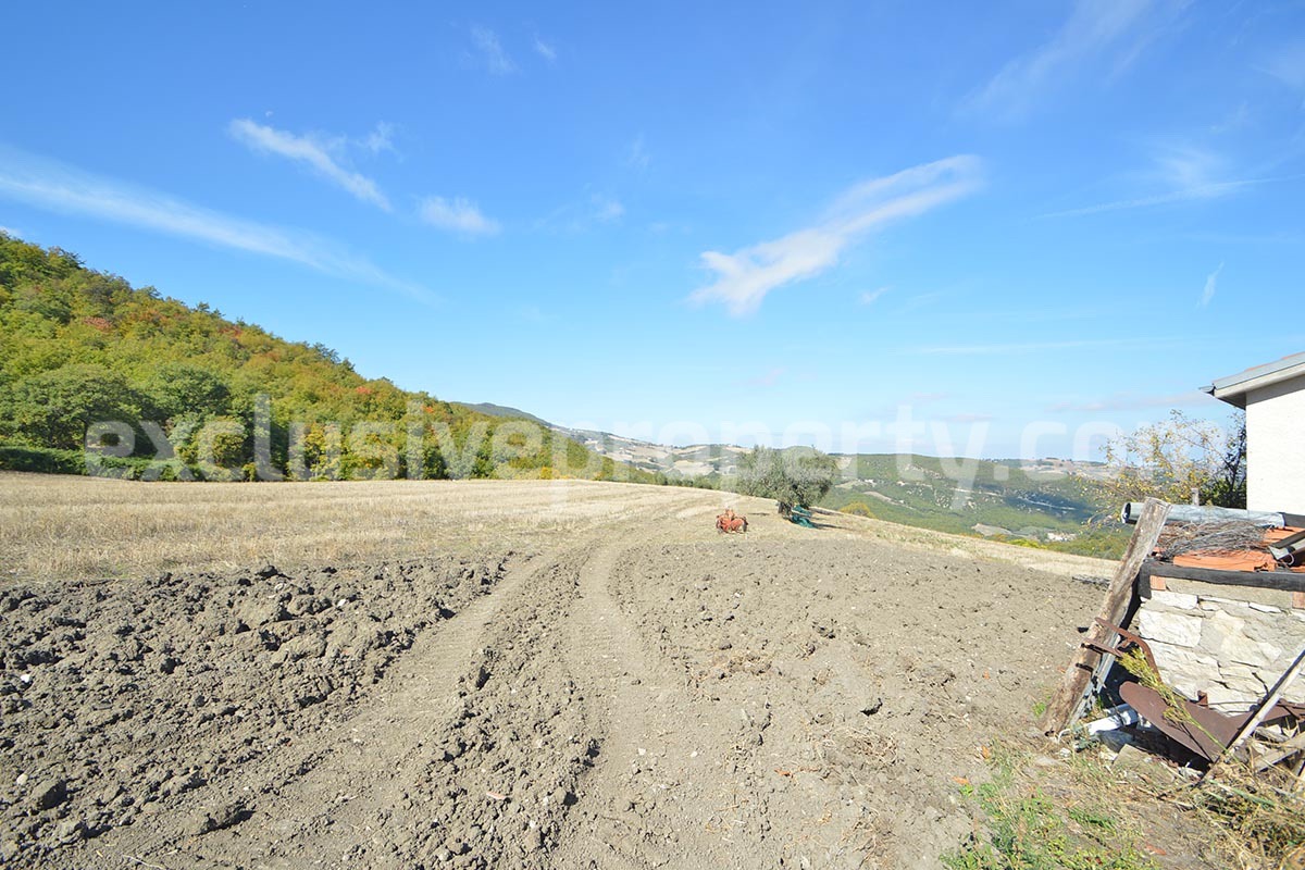 Renovated Country House for Sale in Guardialfiera - Molise - 4 Hectares of Land with Olive Trees