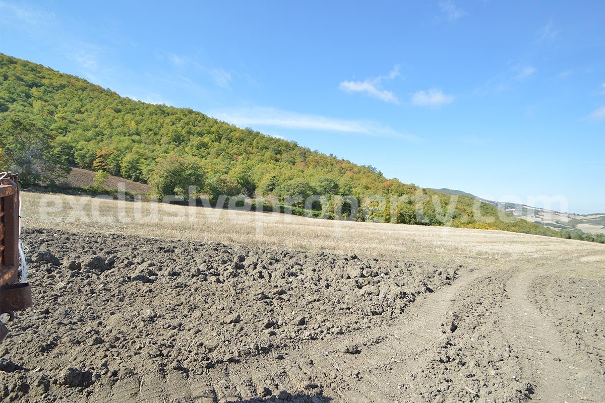 Renovated Country House for Sale in Guardialfiera - Molise - 4 Hectares of Land with Olive Trees