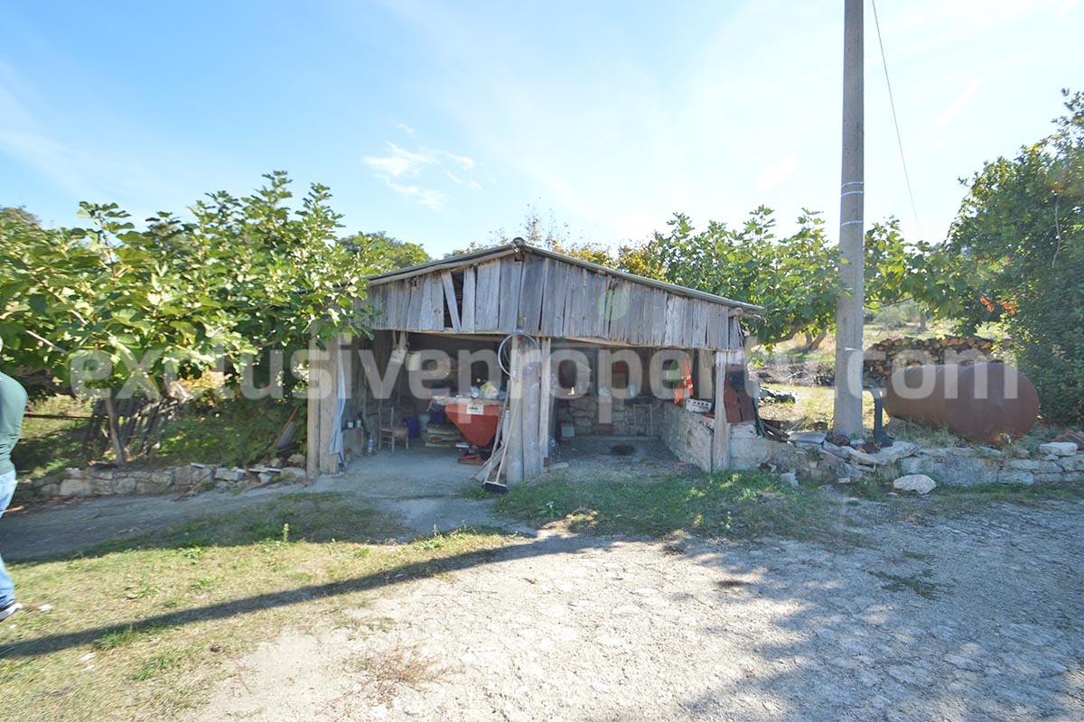 Renovated Country House for Sale in Guardialfiera - Molise - 4 Hectares of Land with Olive Trees