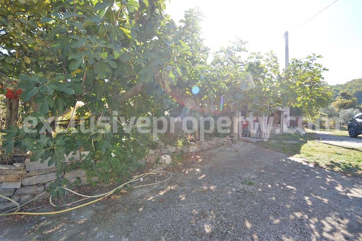 Renovated Country House for Sale in Guardialfiera - Molise - 4 Hectares of Land with Olive Trees