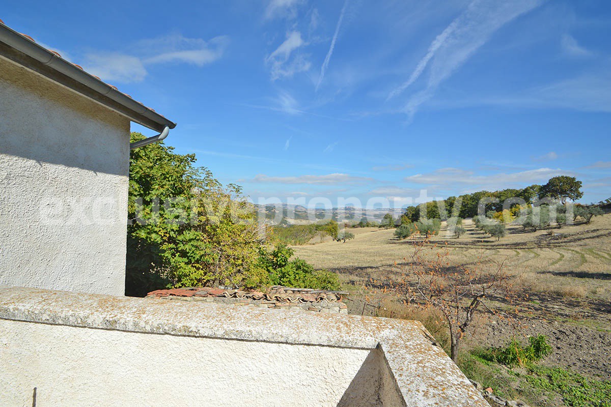 Renovated Country House for Sale in Guardialfiera - Molise - 4 Hectares of Land with Olive Trees