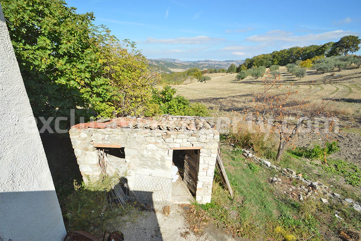 Renovated Country House for Sale in Guardialfiera - Molise - 4 Hectares of Land with Olive Trees