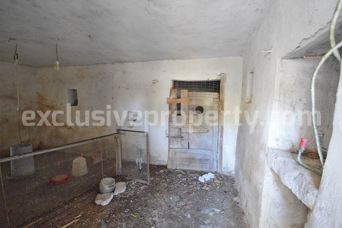 Renovated Country House for Sale in Guardialfiera - Molise - 4 Hectares of Land with Olive Trees