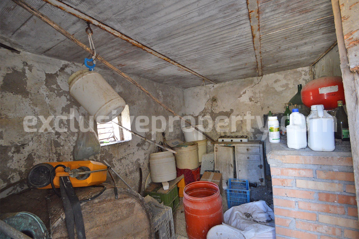 Renovated Country House for Sale in Guardialfiera - Molise - 4 Hectares of Land with Olive Trees