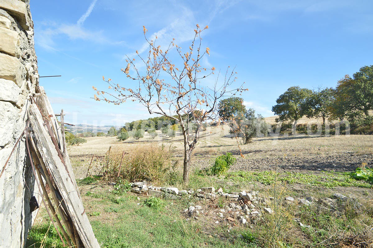 Renovated Country House for Sale in Guardialfiera - Molise - 4 Hectares of Land with Olive Trees
