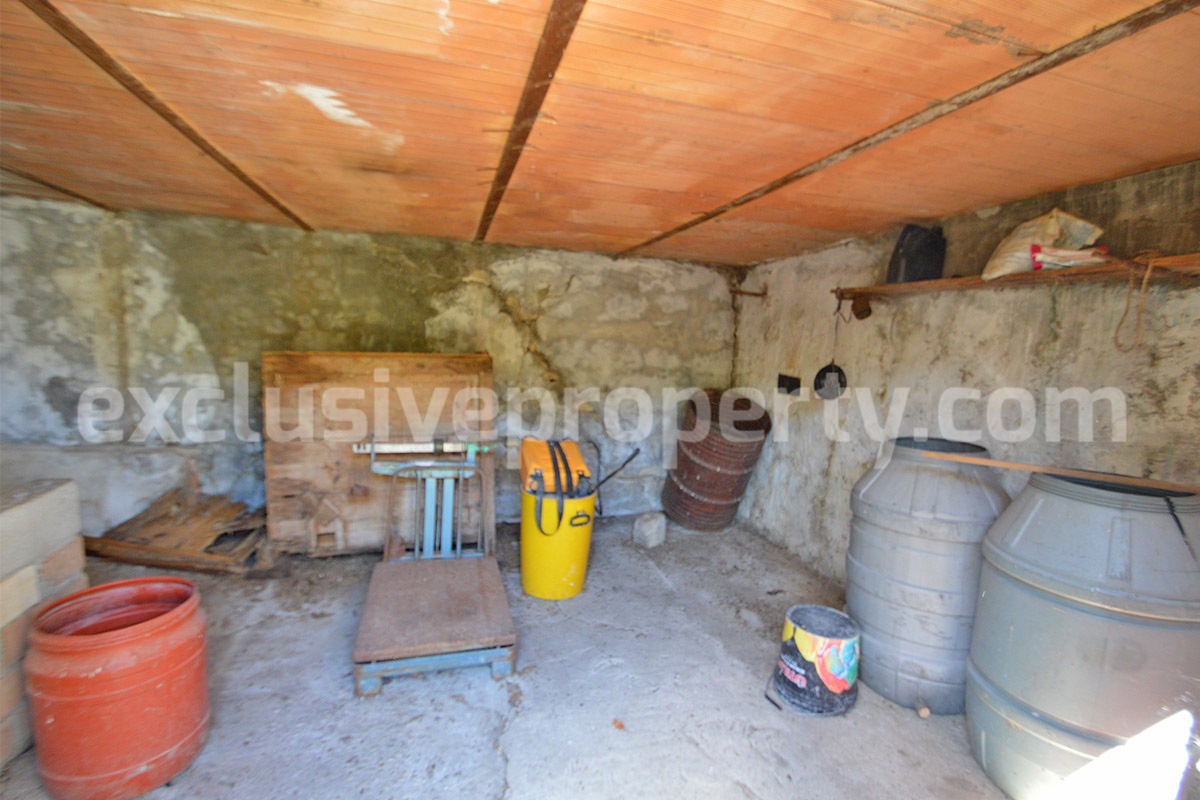 Renovated Country House for Sale in Guardialfiera - Molise - 4 Hectares of Land with Olive Trees