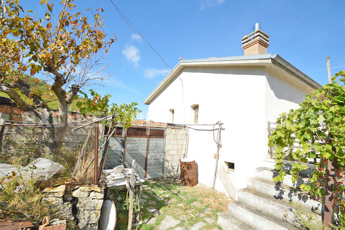 Renovated Country House for Sale in Guardialfiera - Molise - 4 Hectares of Land with Olive Trees