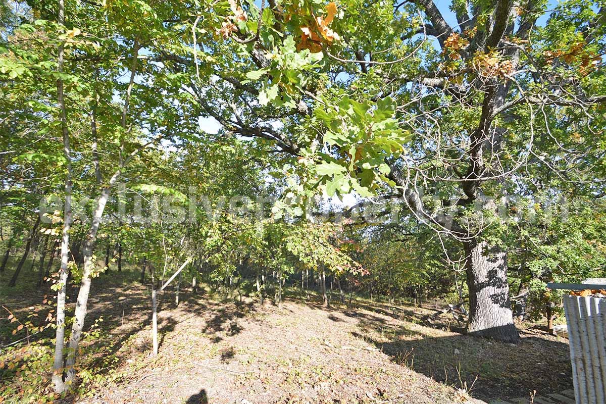 Charming country house with outbuilding - land - panoramic views for sale in Duronia - Molise - Italy