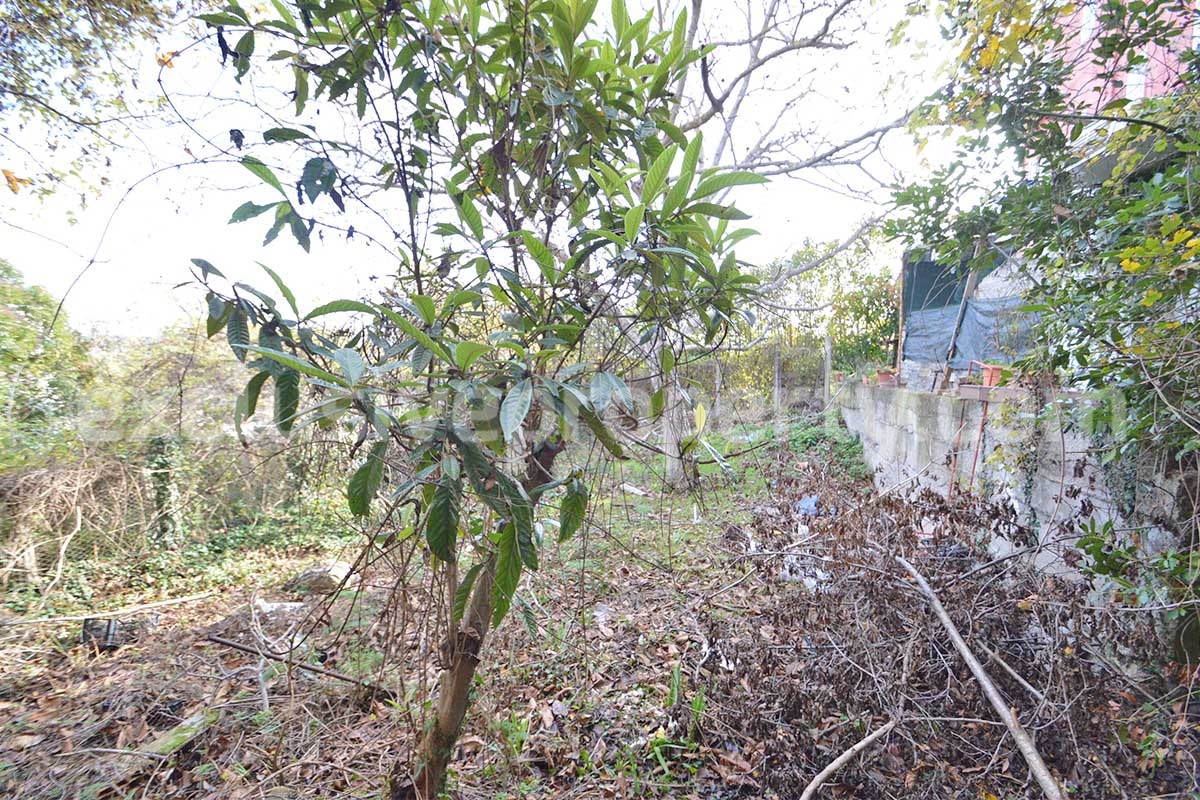 Historic Palace for Sale in Bagnoli del Trigno - Molise with Garden - Terrace and Panoramic Views