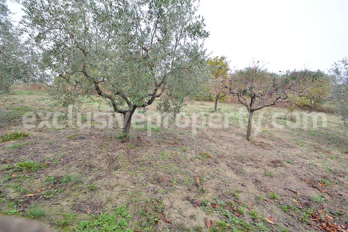 Peaceful Country Oasis for Sale near Mafalda - Molise with Olive Grove - Stone House and Wooden Building