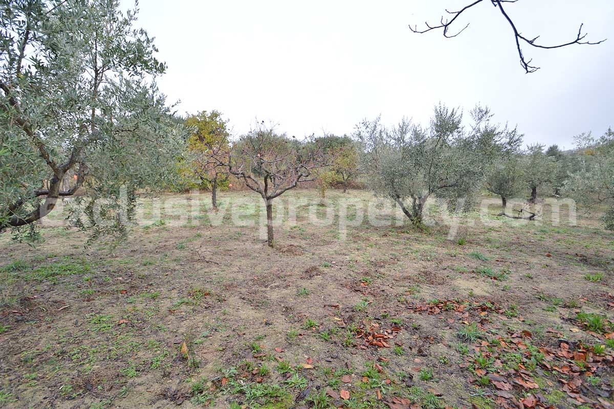 Peaceful Country Oasis for Sale near Mafalda - Molise with Olive Grove - Stone House and Wooden Building