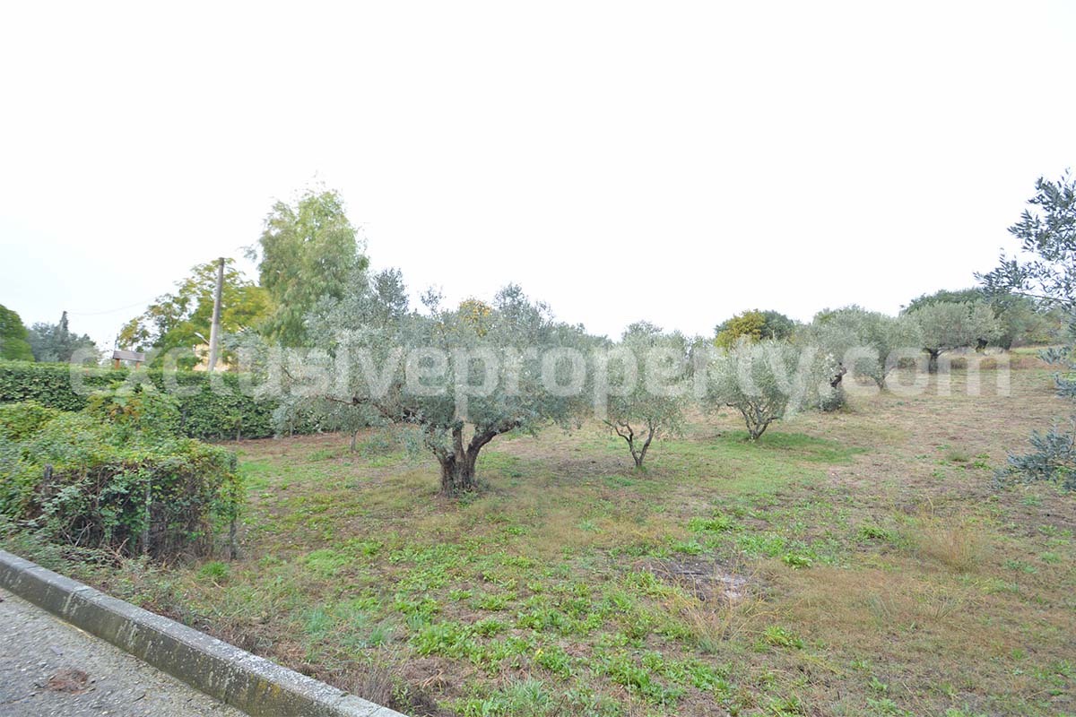 Peaceful Country Oasis for Sale near Mafalda - Molise with Olive Grove - Stone House and Wooden Building