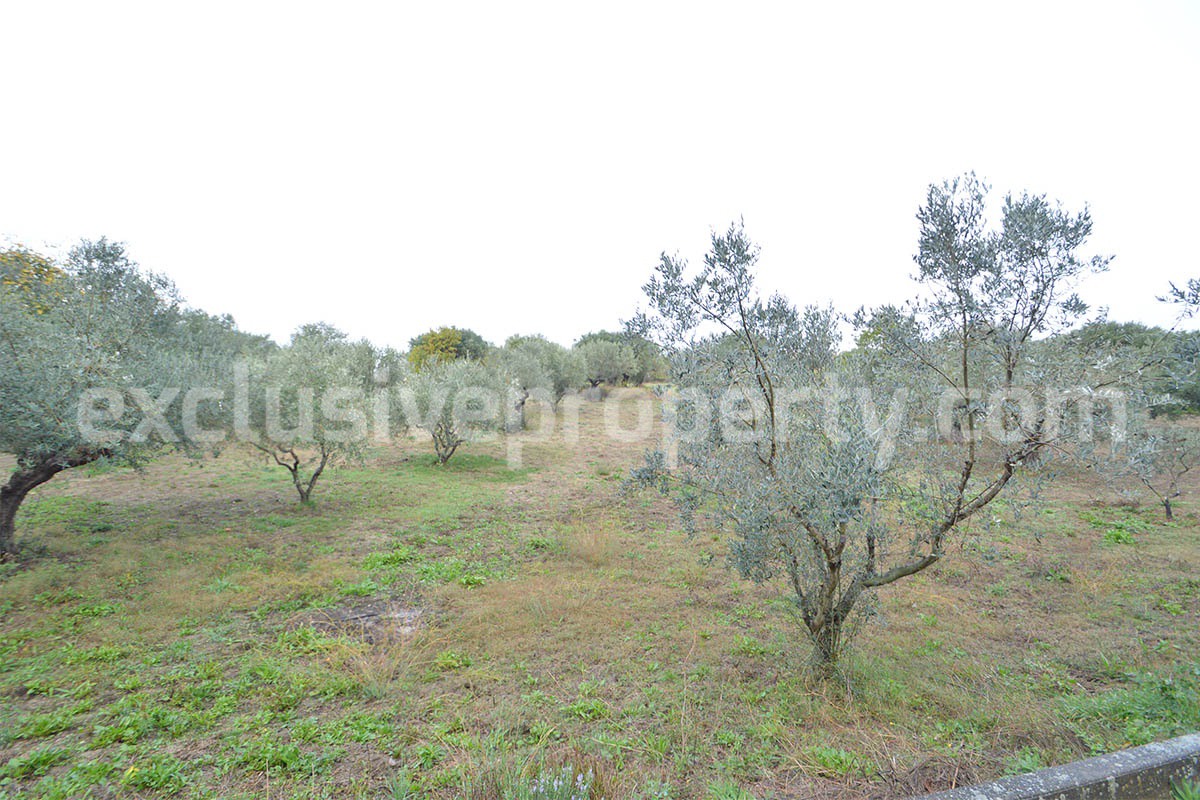 Peaceful Country Oasis for Sale near Mafalda - Molise with Olive Grove - Stone House and Wooden Building