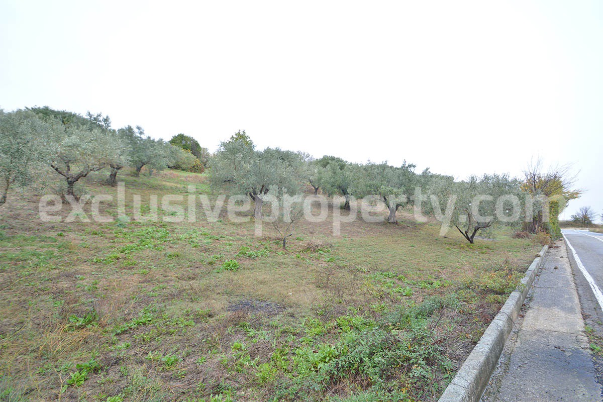 Peaceful Country Oasis for Sale near Mafalda - Molise with Olive Grove - Stone House and Wooden Building