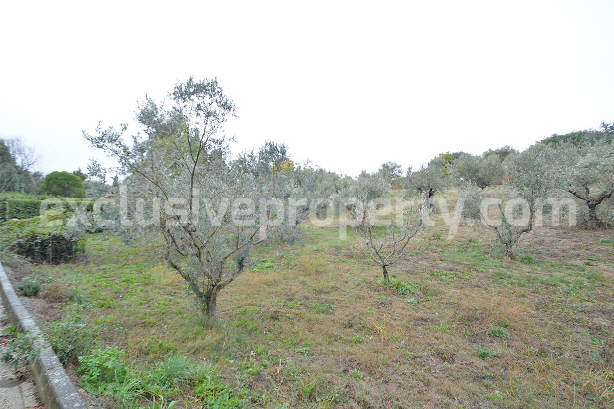 Peaceful Country Oasis for Sale near Mafalda - Molise with Olive Grove - Stone House and Wooden Building