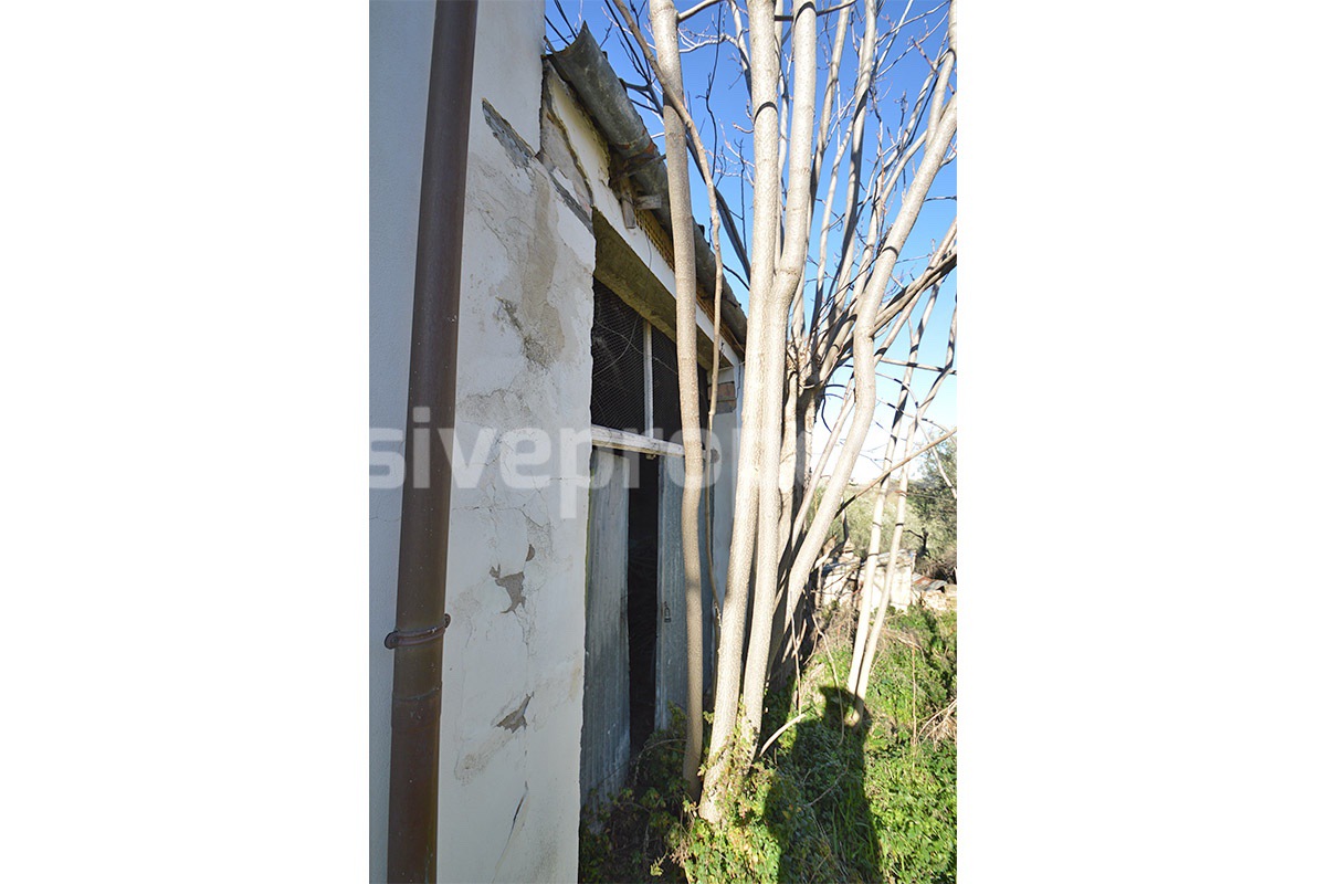 Charming Country House for Renovation with Land for Sale in Abruzzo - Italy - Peaceful Scerni Location
