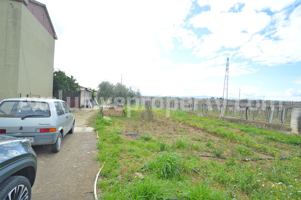 Country House with Olive Grove and Sea View - 5 Minutes from the Adriatic Coast - Abruzzo - Italy