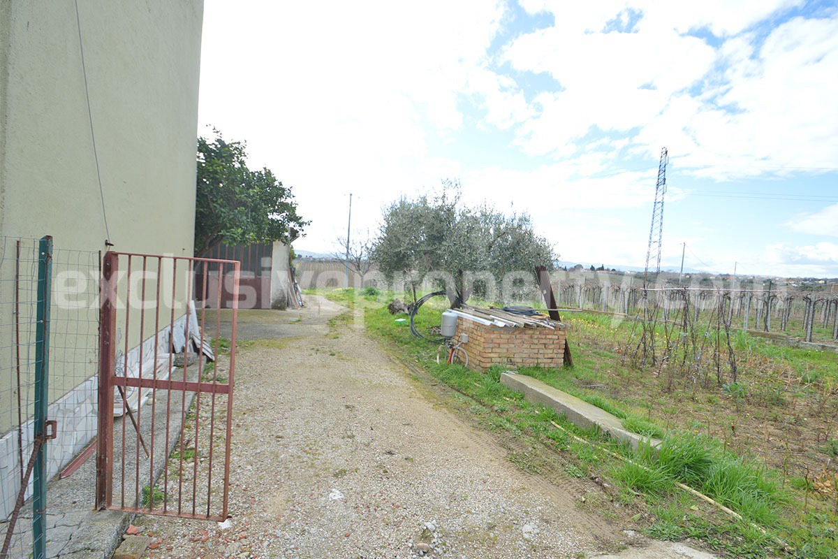 Country House with Olive Grove and Sea View - 5 Minutes from the Adriatic Coast - Abruzzo - Italy