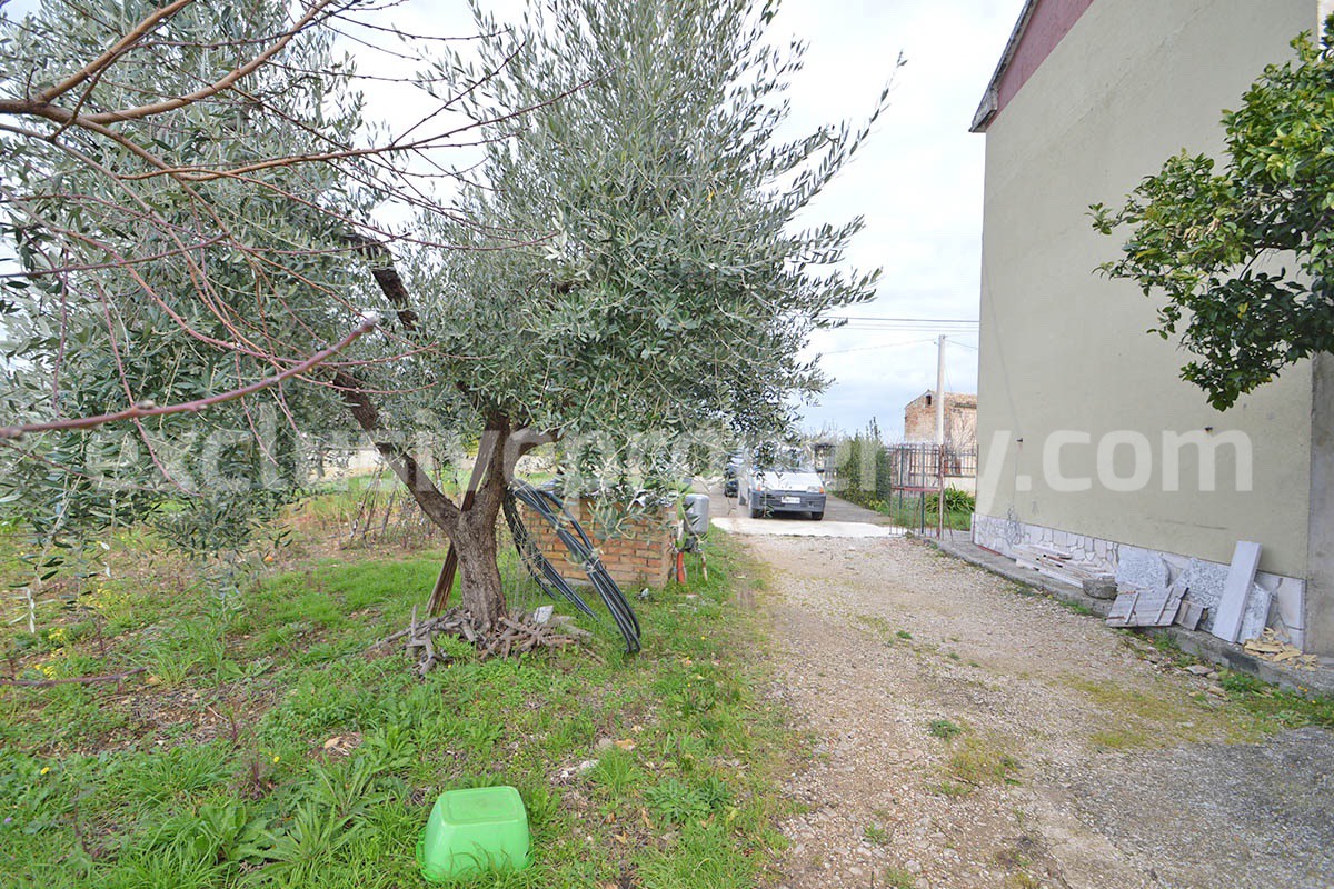 Country House with Olive Grove and Sea View - 5 Minutes from the Adriatic Coast - Abruzzo - Italy