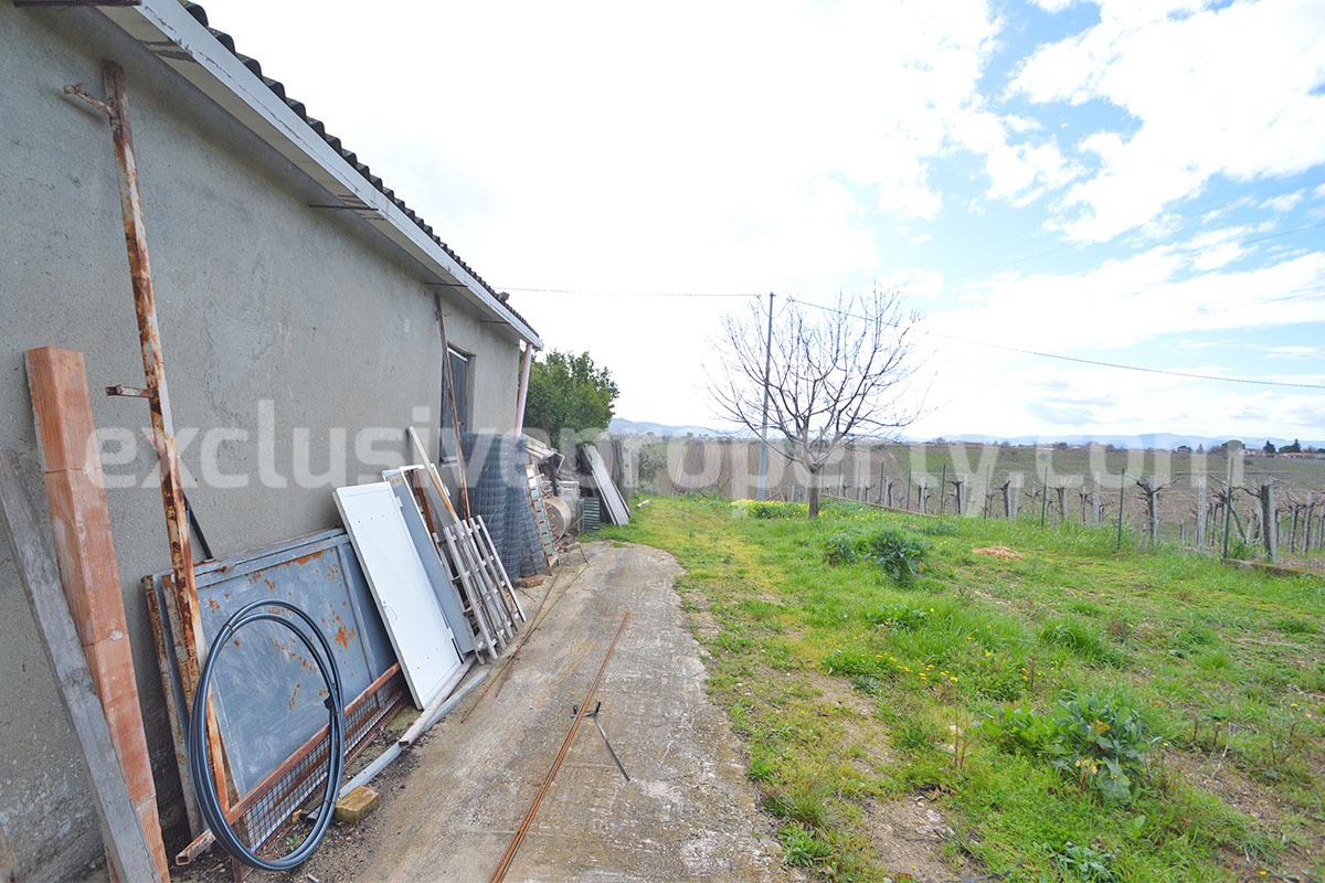 Country House with Olive Grove and Sea View - 5 Minutes from the Adriatic Coast - Abruzzo - Italy