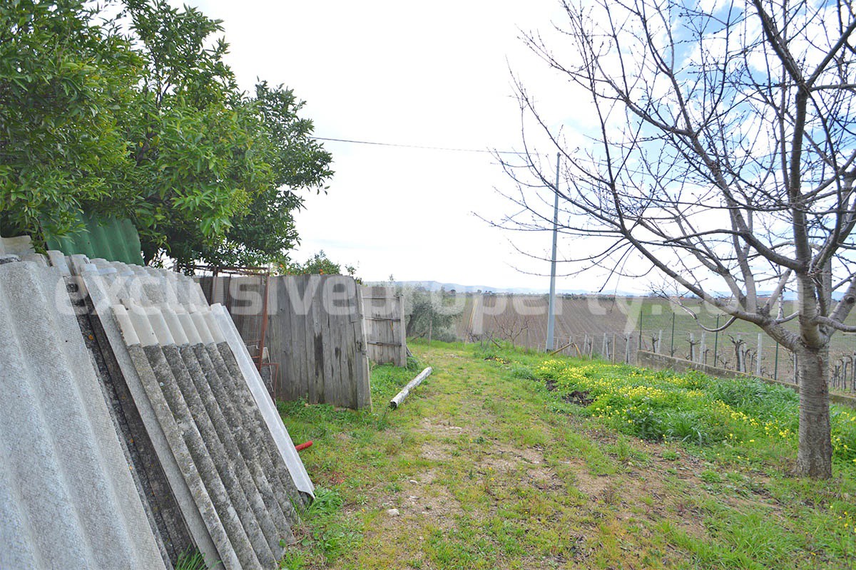 Country House with Olive Grove and Sea View - 5 Minutes from the Adriatic Coast - Abruzzo - Italy