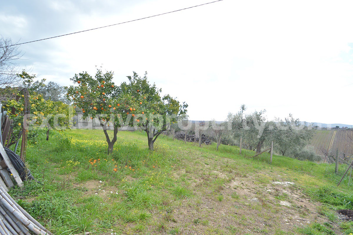 Country House with Olive Grove and Sea View - 5 Minutes from the Adriatic Coast - Abruzzo - Italy