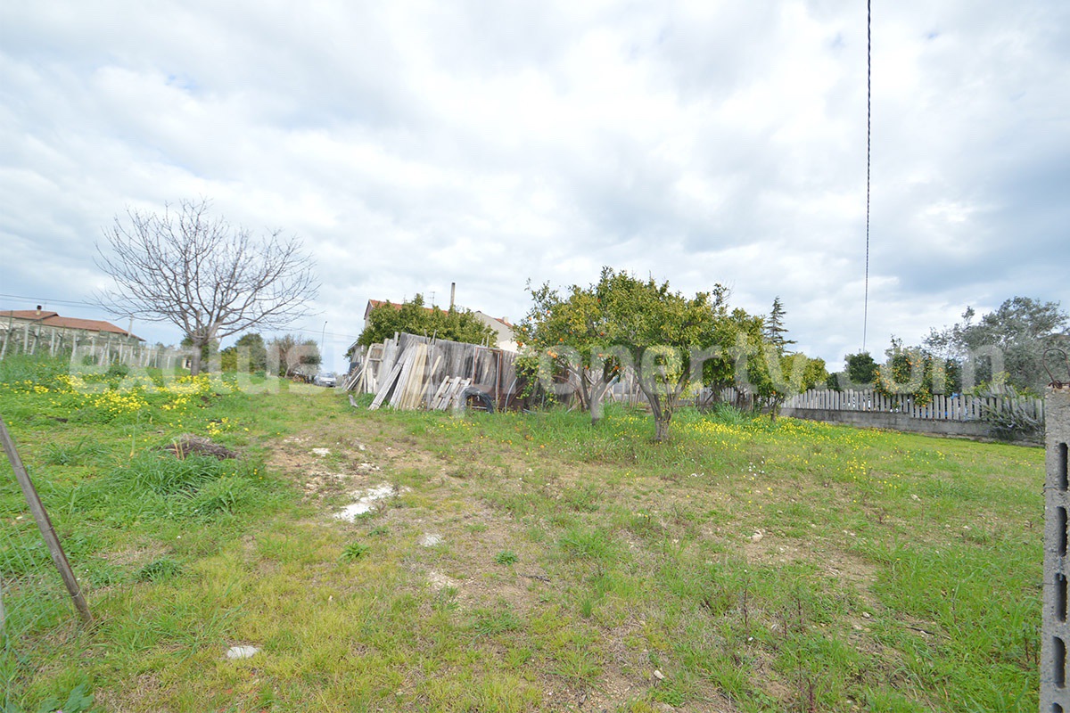 Country House with Olive Grove and Sea View - 5 Minutes from the Adriatic Coast - Abruzzo - Italy