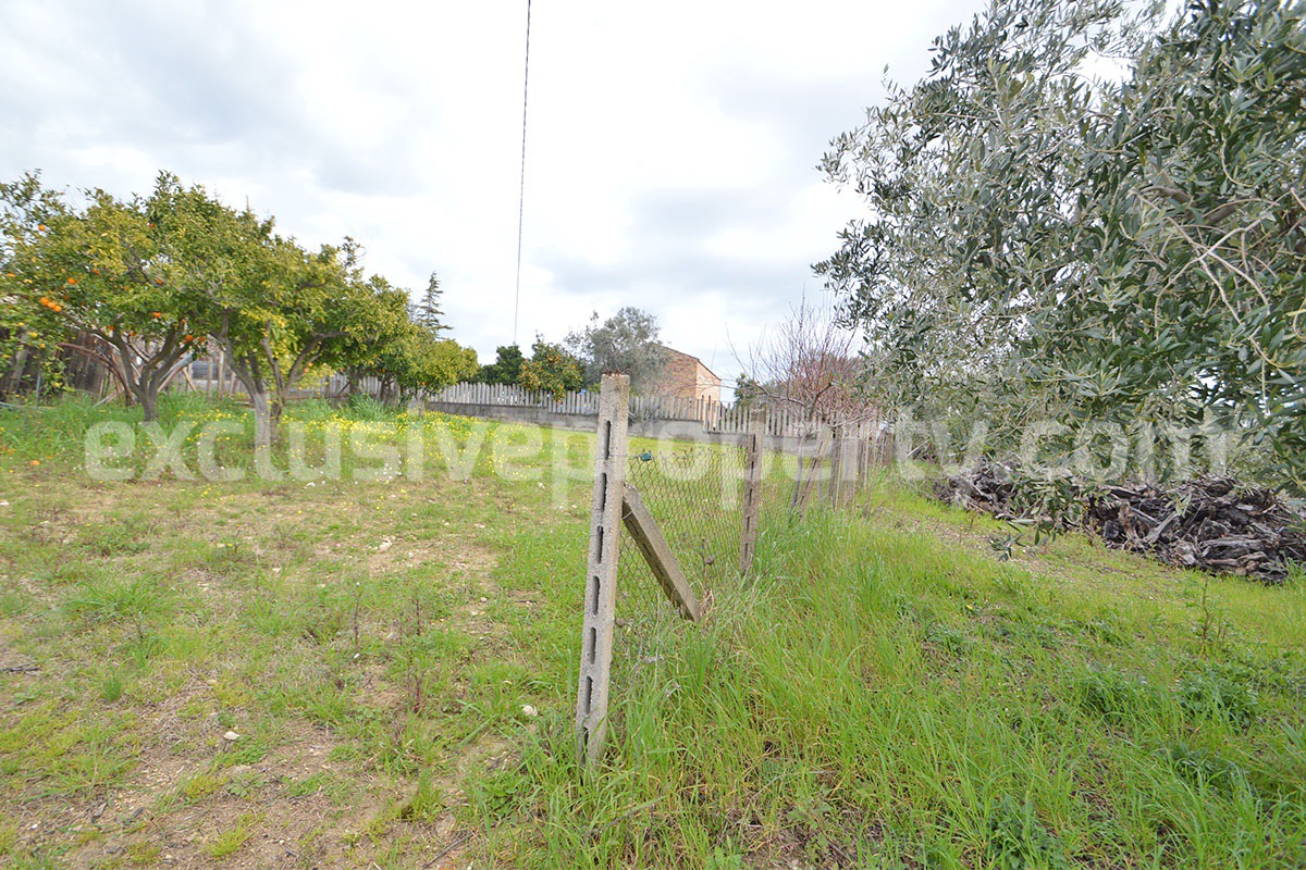 Country House with Olive Grove and Sea View - 5 Minutes from the Adriatic Coast - Abruzzo - Italy