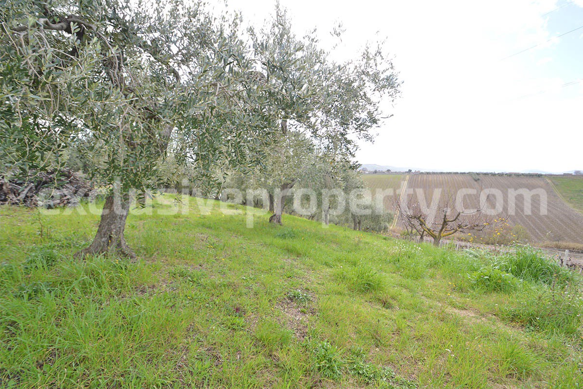 Country House with Olive Grove and Sea View - 5 Minutes from the Adriatic Coast - Abruzzo - Italy