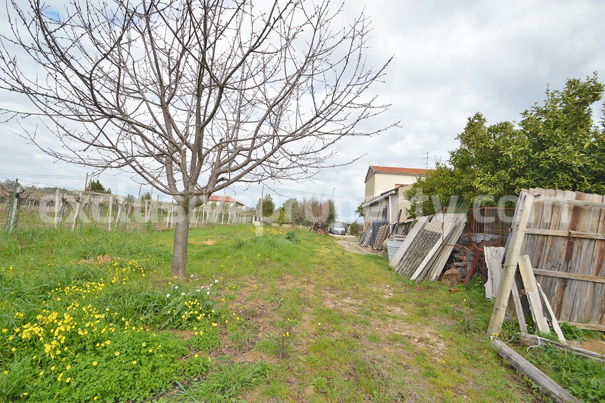 Country House with Olive Grove and Sea View - 5 Minutes from the Adriatic Coast - Abruzzo - Italy