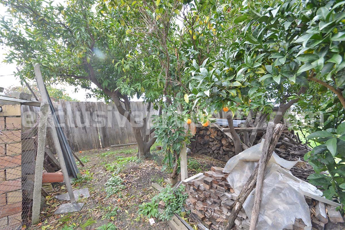 Country House with Olive Grove and Sea View - 5 Minutes from the Adriatic Coast - Abruzzo - Italy