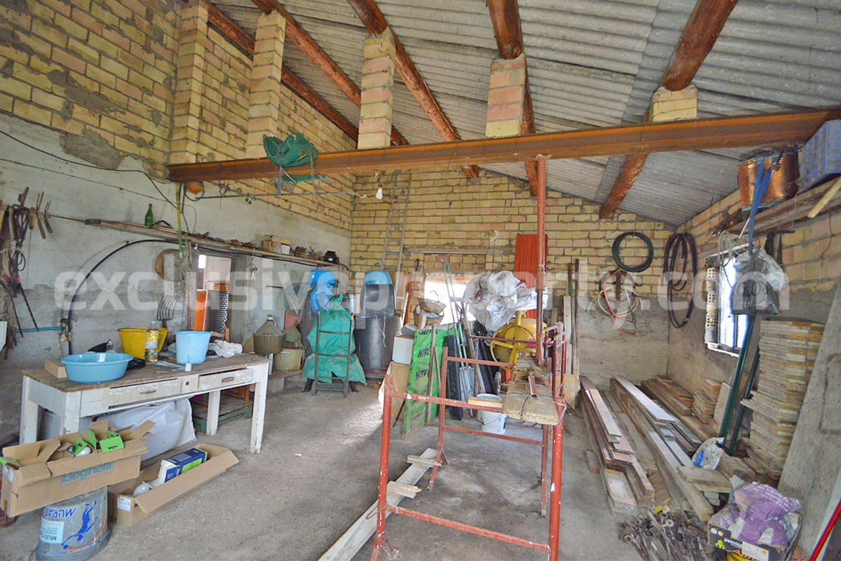 Country House with Olive Grove and Sea View - 5 Minutes from the Adriatic Coast - Abruzzo - Italy