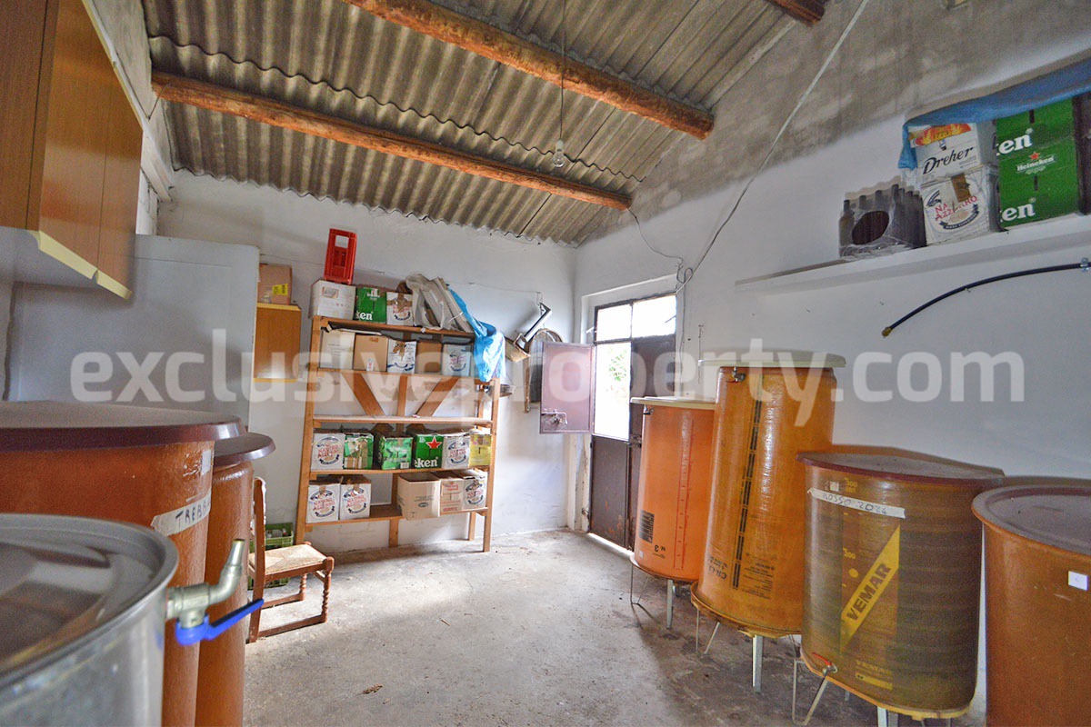 Country House with Olive Grove and Sea View - 5 Minutes from the Adriatic Coast - Abruzzo - Italy