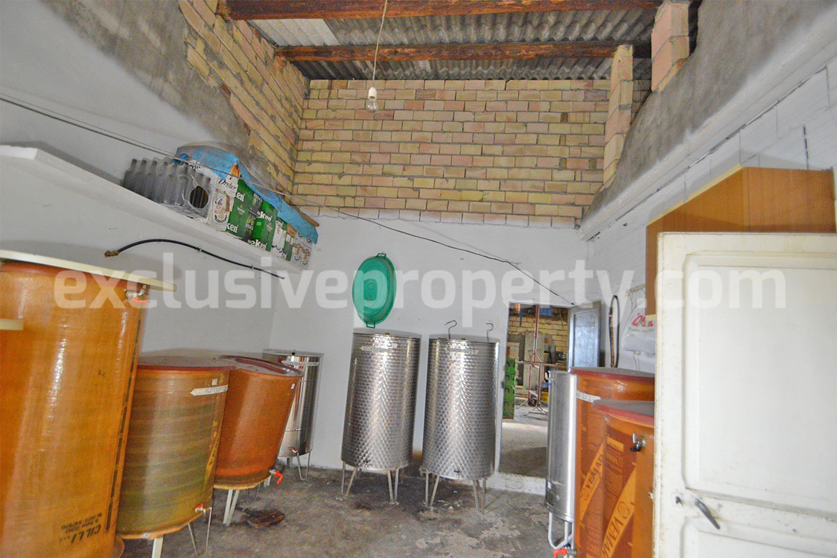 Country House with Olive Grove and Sea View - 5 Minutes from the Adriatic Coast - Abruzzo - Italy