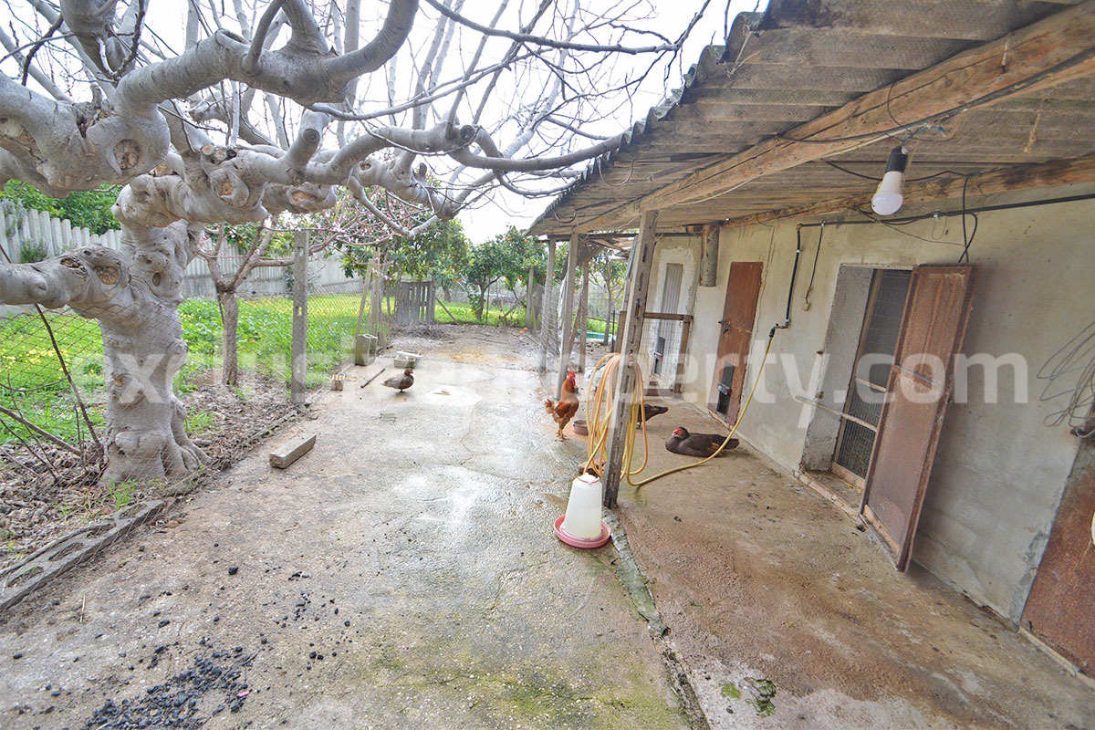 Country House with Olive Grove and Sea View - 5 Minutes from the Adriatic Coast - Abruzzo - Italy