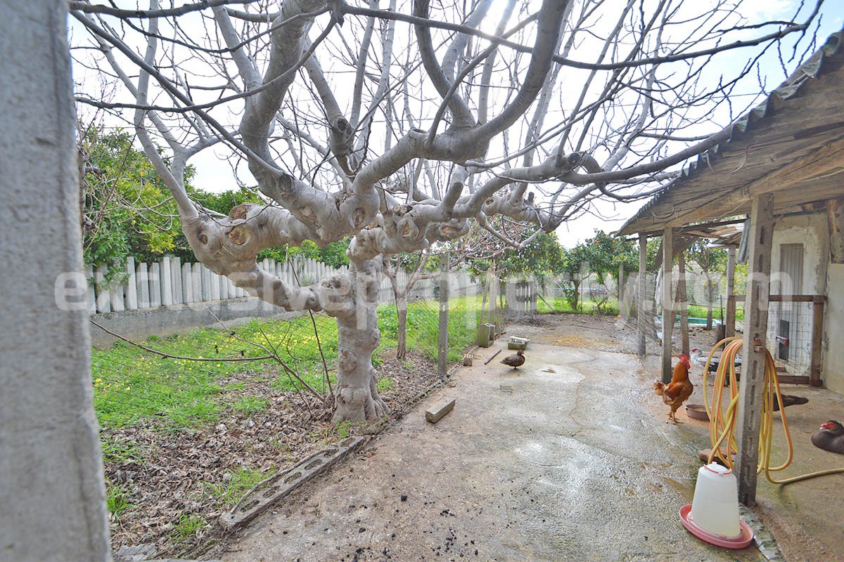 Country House with Olive Grove and Sea View - 5 Minutes from the Adriatic Coast - Abruzzo - Italy